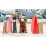 Shopping with Your Furry Friend: Tips for a Pawsitive Experience