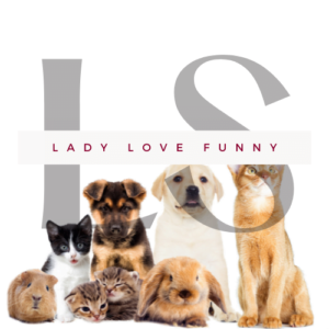 shopping with your pet