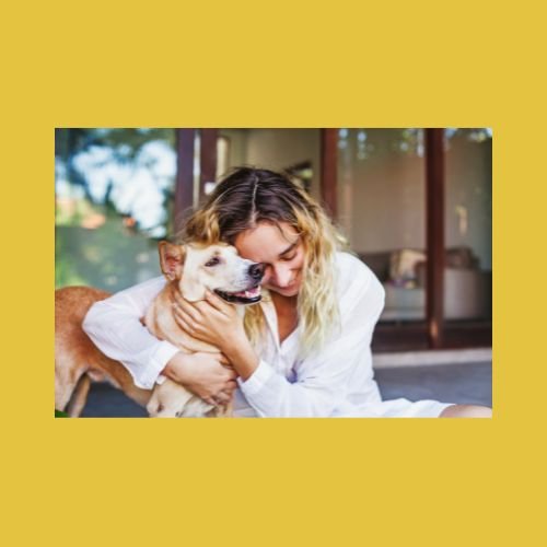 The Art of Selecting Pet Furniture