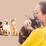The Road to Affordable Pet Care: Unlocking the Benefits of a Veterinary Discount Plan