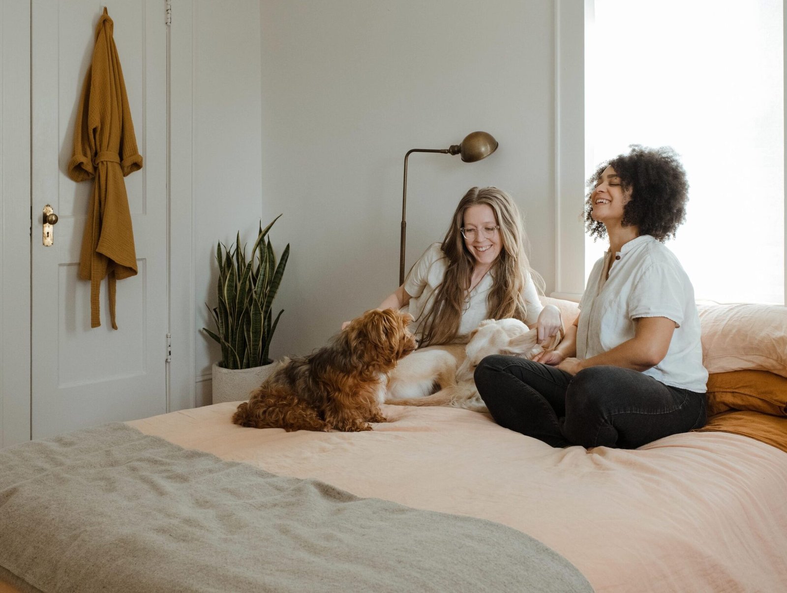 Shopping with Your Furry Friend: How to Tips for a Pawsitive Experience