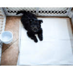 Dog playpen